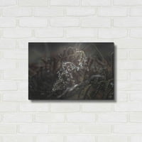 Luxe Metal Art 'Tajna 2' po dizajnu Fabrikken, metalna zidna umjetnost, 24 x16