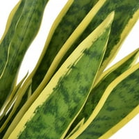 Veštačka sansevieria biljka sa lonkom 25.6 zelena
