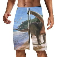 Ukraćaji za mačke Aaiaymet Muški meni Swim Trunks 3D Print Boardshorts Brzo suho kupaći kostim Ljetna