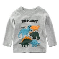 Adviicd vrhovi za dječake dječje dječje dječake djevojke Dinosaur pismo ispis dugih rukava Crewneck