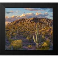 Fitzharris, Tim crna Moderna uokvirena muzejska umjetnost tisice pod nazivom - Tucson planine-Saguaro