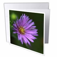 Makro fotografija ljubičaste aster na zelenoj bokeh pozadini. Čestitke sa kovertama GC-337780-2