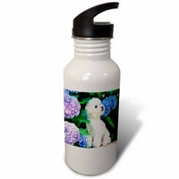 Predivan bichon Frize štene među hortengeas Oz sportski boca za vodu WB-80886-1