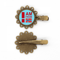 Am iz Norveške Art Deco Fashion Vintage Metal Flowerpin Frizerski kose